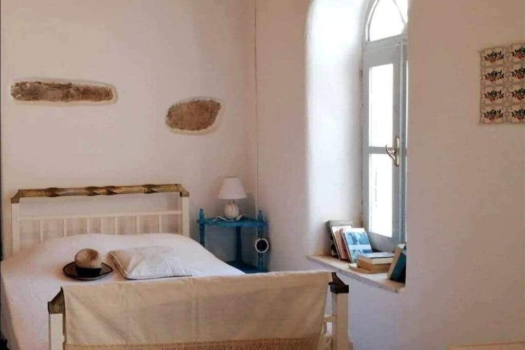 Апартаменти Naxos Mountain Retreat - Tiny House Build On Rock Koronos Екстер'єр фото